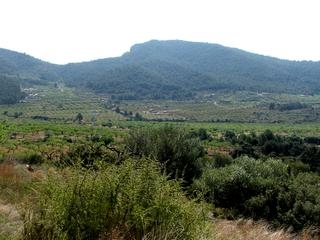 Atzeneta Del Maestrat property: Land in Castellon for sale 151093