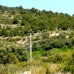 Atzeneta Del Maestrat property: Beautiful Land for sale in Atzeneta Del Maestrat 151093