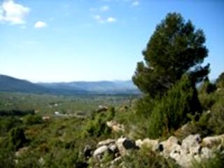 Atzeneta Del Maestrat property: Land for sale in Atzeneta Del Maestrat, Spain 151095