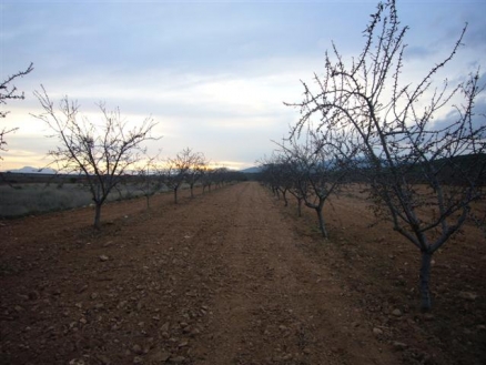 Land for sale in town, Spain 151138