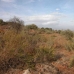 Coin property: Coin, Spain Land 158063