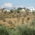 Monda property: Monda, Spain Villa 158361