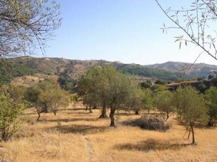 Coin property: Land with bedroom in Coin, Spain 158442