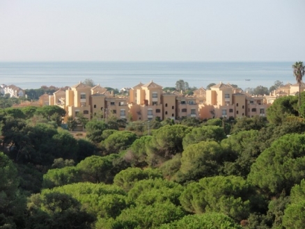 Elviria property: Villa for sale in Elviria, Spain 158958