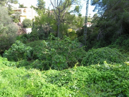 Land for sale in town, Spain 160230