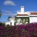 San Miguel De Salinas property: Villa for sale in San Miguel De Salinas 168625