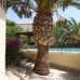 Moraira property: Moraira, Spain Villa 168959