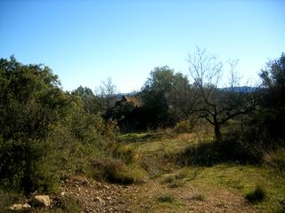 Atzeneta Del Maestrat property: Finca for sale in Atzeneta Del Maestrat, Castellon 168985