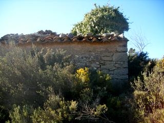 Atzeneta Del Maestrat property: Finca with bedroom in Atzeneta Del Maestrat 168987