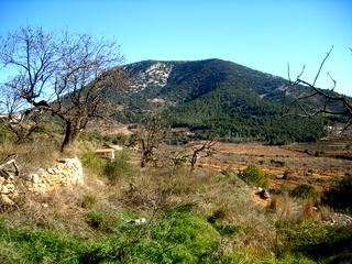 Atzeneta Del Maestrat property: Finca for sale in Atzeneta Del Maestrat, Spain 168989