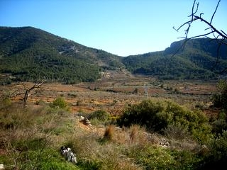 Atzeneta Del Maestrat property: Finca with bedroom in Atzeneta Del Maestrat 168989