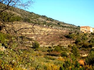 Atzeneta Del Maestrat property: Finca with bedroom in Atzeneta Del Maestrat, Spain 168989