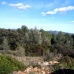 Atzeneta Del Maestrat property: Castellon, Spain Finca 168990