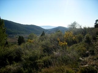 Atzeneta Del Maestrat property: Finca with bedroom in Atzeneta Del Maestrat, Spain 168991