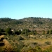 Atzeneta Del Maestrat property:  Finca in Castellon 168992