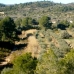 Atzeneta Del Maestrat property: Finca in Atzeneta Del Maestrat 168992