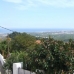 Oliva property: 3 bedroom Villa in Oliva, Spain 169236