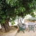 Javea property:  Villa in Alicante 170882