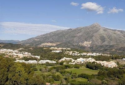 Nueva Andalucia property: Land with bedroom in Nueva Andalucia 171651