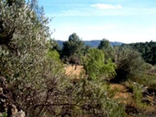 Atzeneta Del Maestrat property: Finca for sale in Atzeneta Del Maestrat 181730