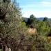 Atzeneta Del Maestrat property: Castellon, Spain Finca 181730