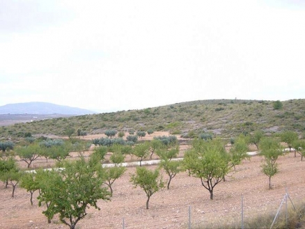 town, Spain | Villa for sale 182212