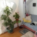 2 bedroom Apartment in town, Spain 182979