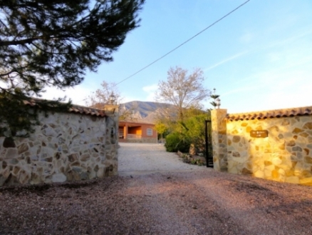 Villa for sale in town, Spain 184981