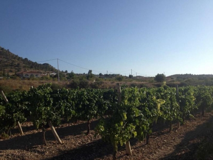 Land for sale in town, Spain 185009