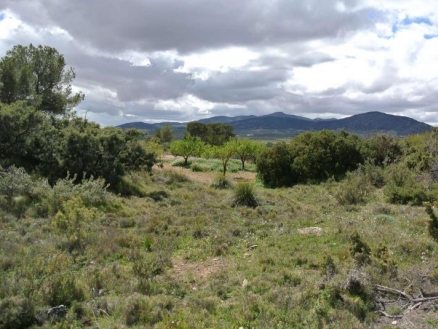 Land for sale in town, Spain 185026