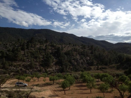 town, Spain | Land for sale 185027