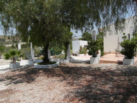 Villa with 3 bedroom in town 185050