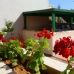 Villamartin property: Beautiful Bungalow for sale in Alicante 185426