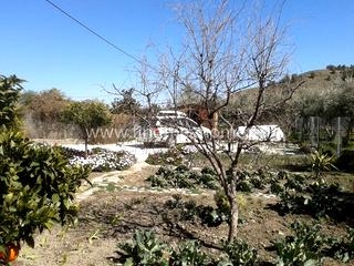 Purchena property: House with 3 bedroom in Purchena, Spain 185519