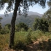 Estepona property:  Land in Malaga 185881