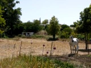 Arriate property: Finca for sale in Arriate, Spain 198942