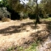 Arriate property: Beautiful Finca for sale in Malaga 198942