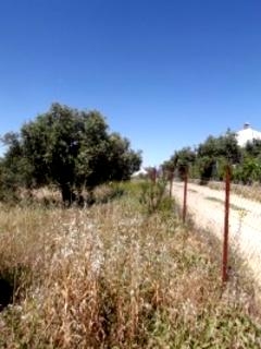 Olvera property: Land with bedroom in Olvera, Spain 198948