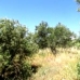 Olvera property: bedroom Land in Olvera, Spain 198948