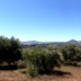 Olvera property: Cadiz Land, Spain 198948