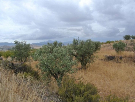 Land for sale in town, Spain 209440