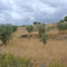 bedroom Land in town, Spain 209440