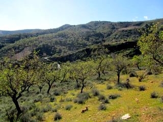 La Herradura property: Land in Granada for sale 216408