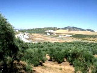 Olvera property: Land for sale in Olvera 216758