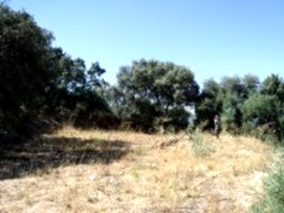 Olvera property: Land for sale in Olvera, Spain 216758