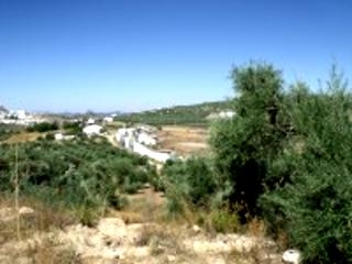 Olvera property: Land in Cadiz for sale 216758