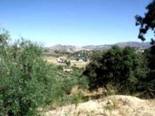 Olvera property: Cadiz property | bedroom Land 216758