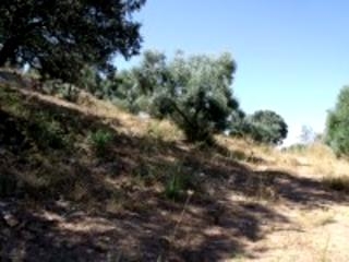 Olvera property: Cadiz Land 216758