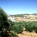 Olvera property: Cadiz, Spain Land 216758