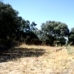 Olvera property: Olvera, Spain Land 216758